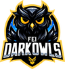 FEI DarkOwls