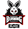 Burning Bunnies Academy